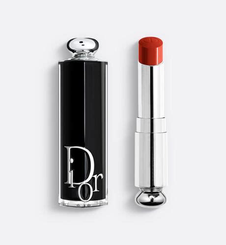 dior addict lippenstift case
